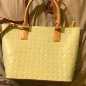 Arcadia mint color purse.